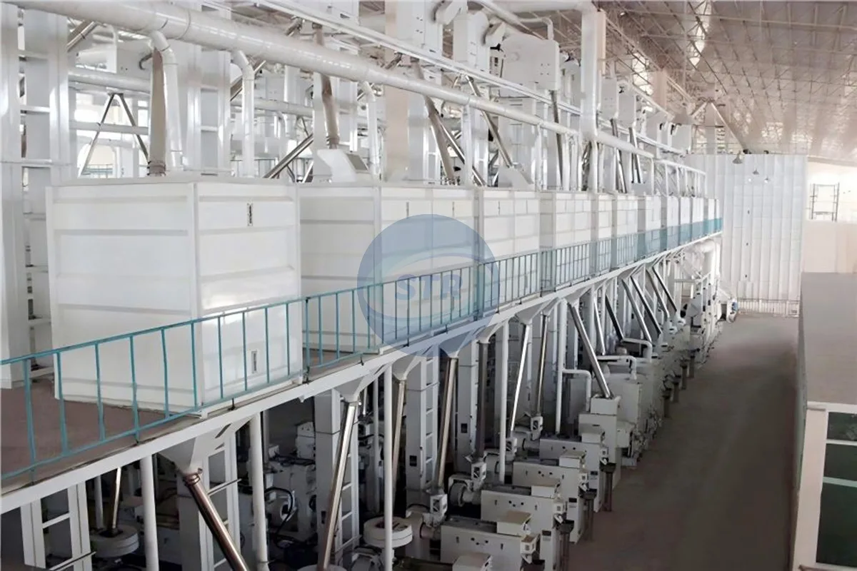 mchj1000 complete rice mill plant