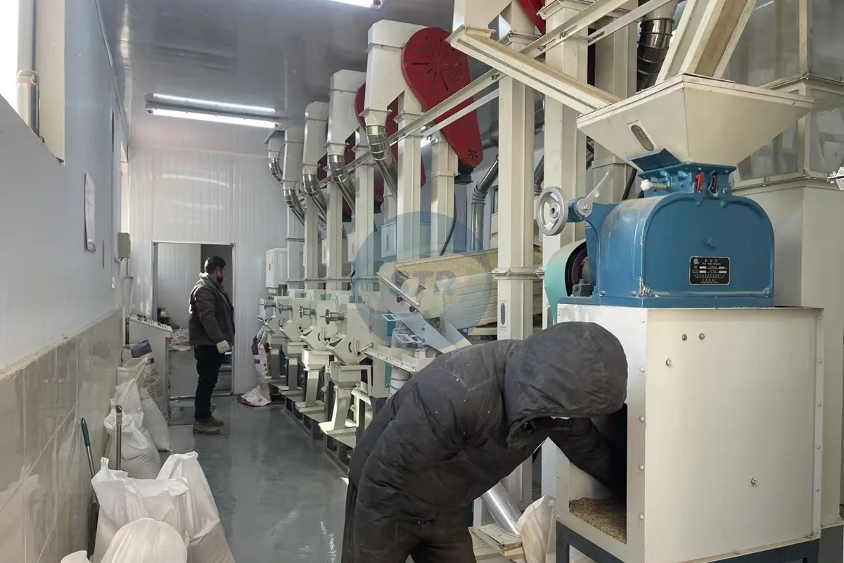 commercial mchj20 complete rice mill plant processing equipment detail view
