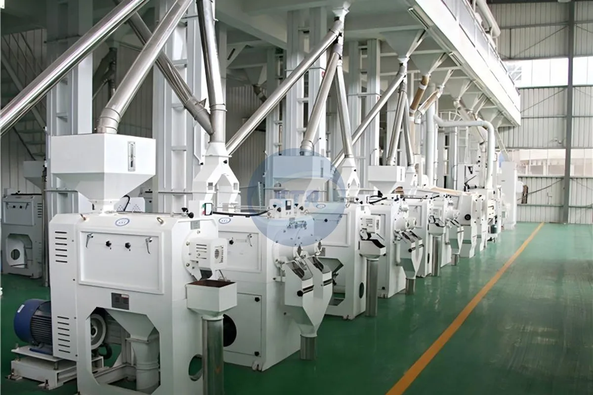 mchj200 complete rice mill plant